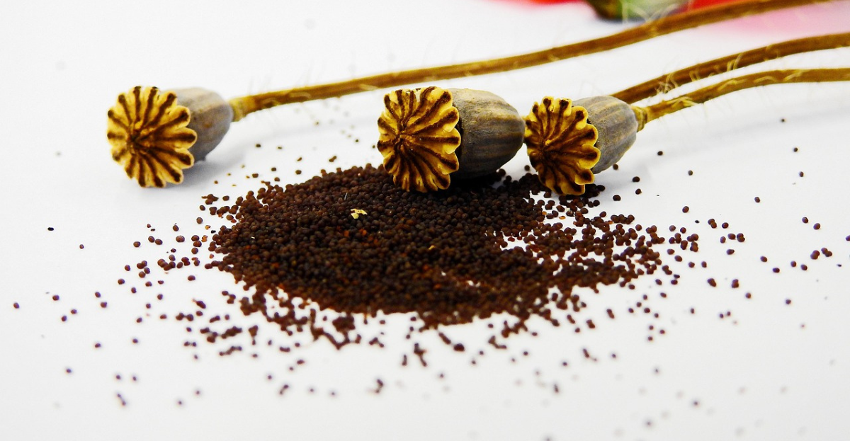 Poppy seeds